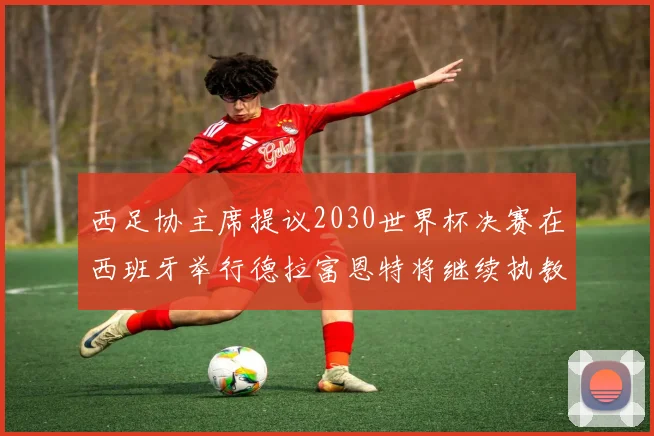 西足协主席提议2030世界杯决赛在西班牙举行德拉富恩特将继续执教国家队